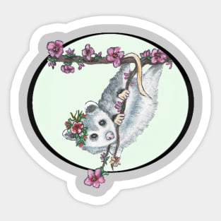 Baby possum Sticker